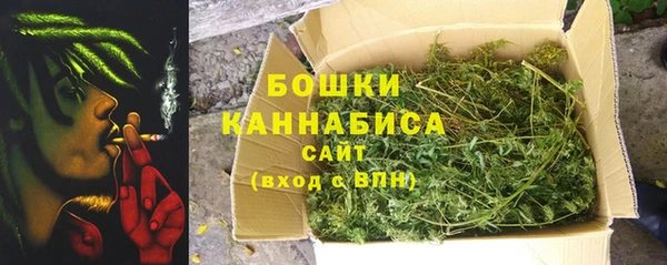 бошки Туринск