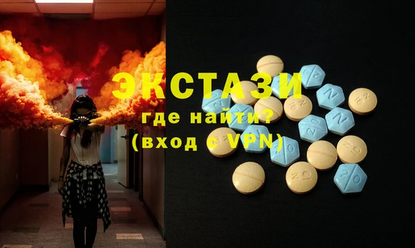 индика Горняк
