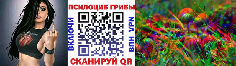 где продают наркотики  Данилов  Псилоцибиновые грибы мухоморы 